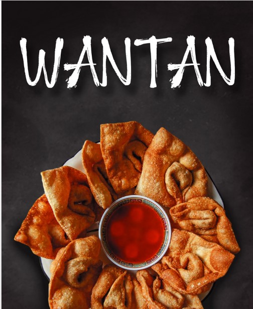 Wantan (10 unidades)